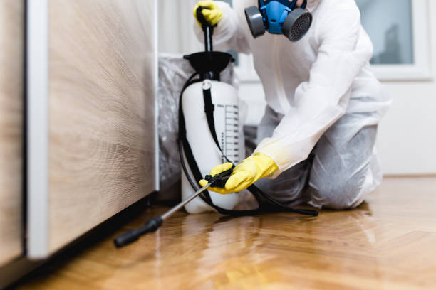 Pest Control for Restaurants in Wilmington, IL