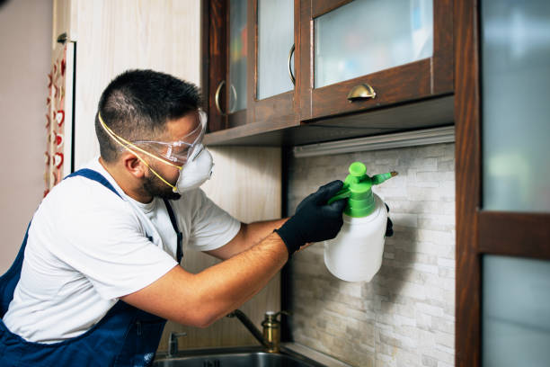 Flea Control Services in Wilmington, IL