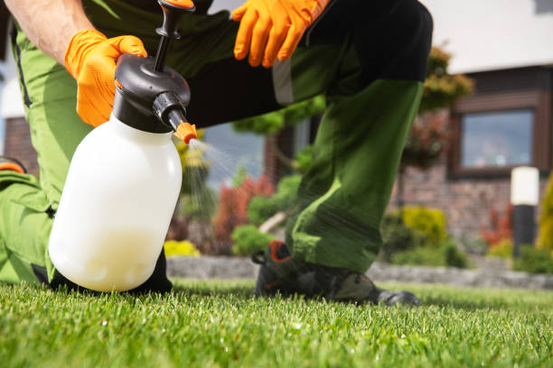 Pest Prevention Services in Wilmington, IL