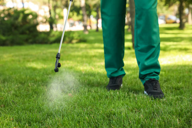 Best Flea Control Services  in Wmington, IL
