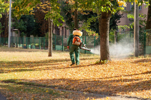 Best Pest Control for Restaurants  in Wmington, IL