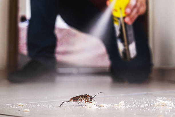 Wildlife Control Services in Wilmington, IL