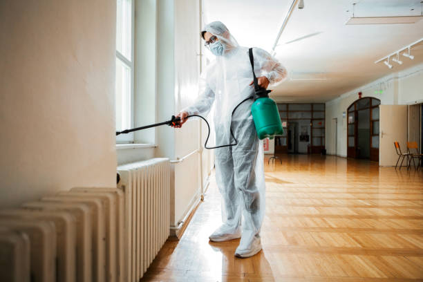 Best Cockroach Control Services  in Wmington, IL