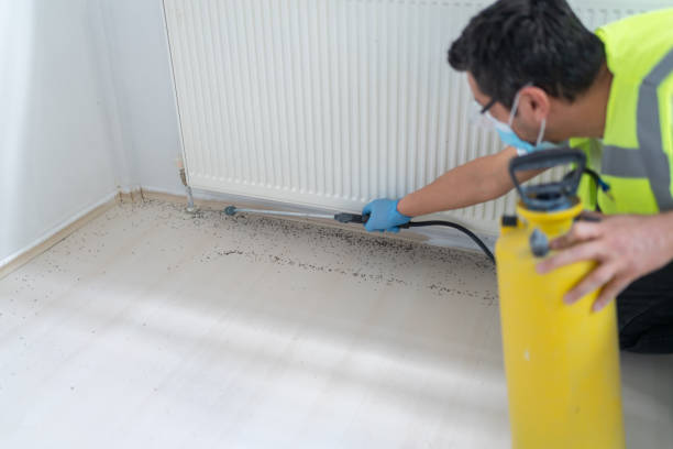 Best Best Pest Control Companies  in Wmington, IL